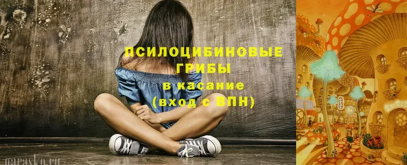 Псилоцибиновые грибы Psilocybe  OMG маркетплейс  Зея  купить наркотик 